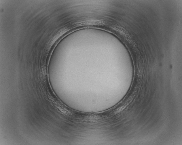 X0000068751073200605191553