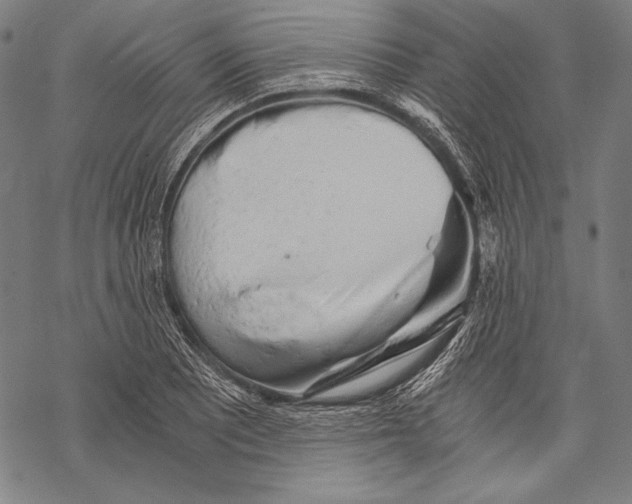 X0000068751081200605191552