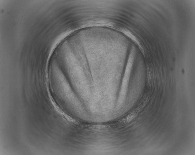 X0000068751088200605191552