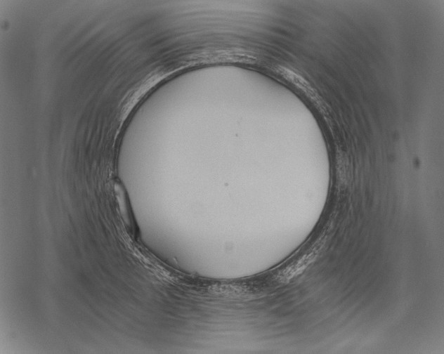 X0000068751089200605191552