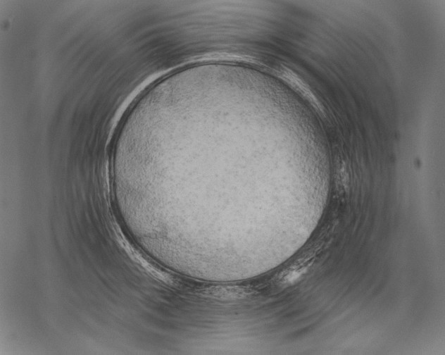 X0000068751092200605191552
