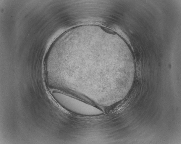 X0000068751096200605191552