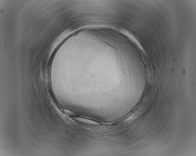 X0000068751101200605191552