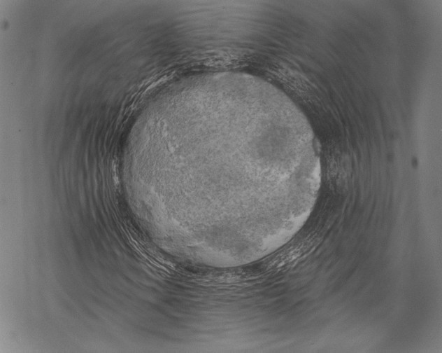 X0000068751106200605191551