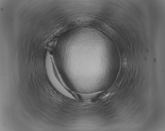 X0000068751108200605191551