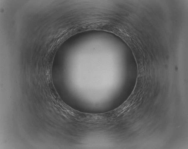 X0000068751109200605191551