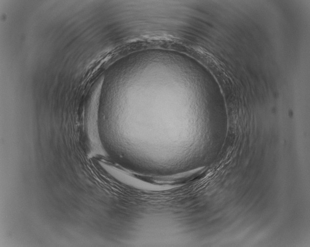 X0000068751110200605191551