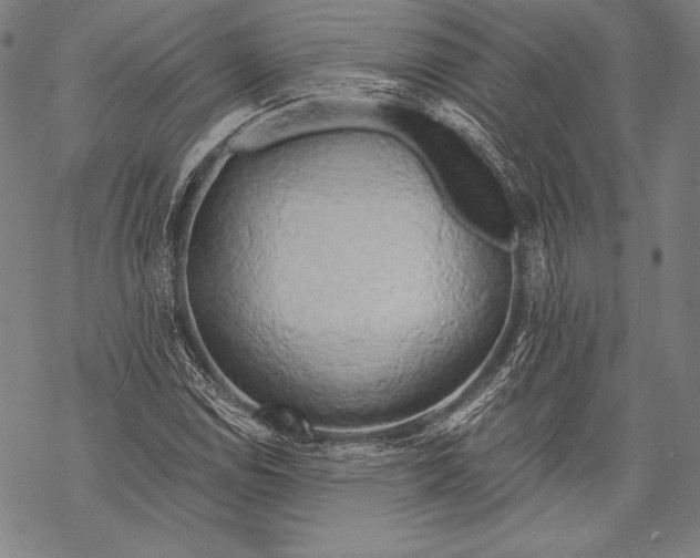 X0000068751114200605191551