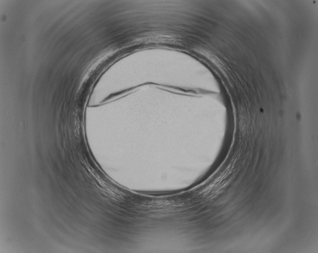 X0000068751115200605191551
