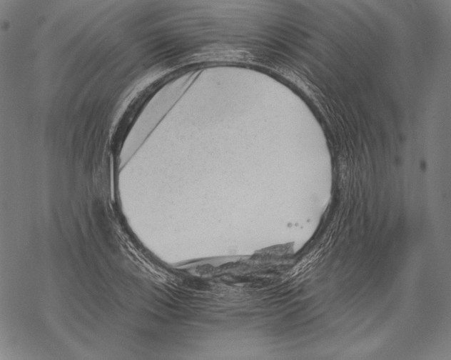 X0000068751123200605191552