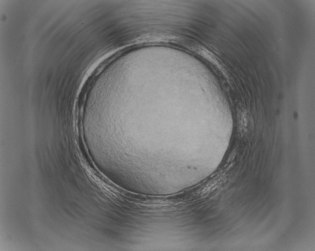 X0000068751124200605191552