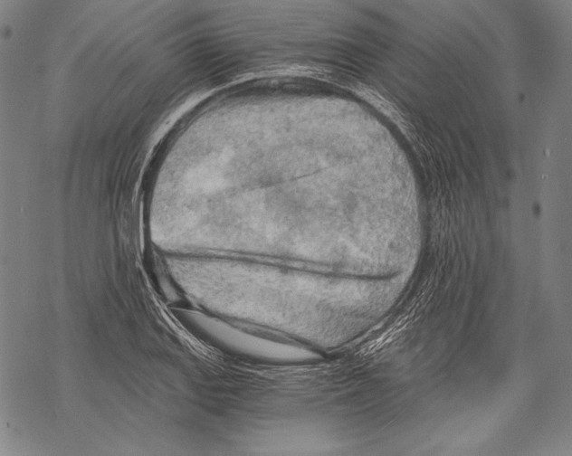 X0000068751127200605191552
