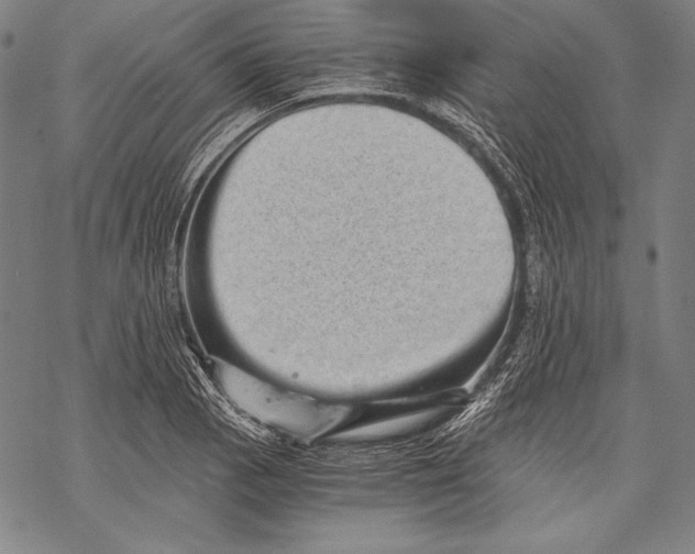 X0000068751129200605191552