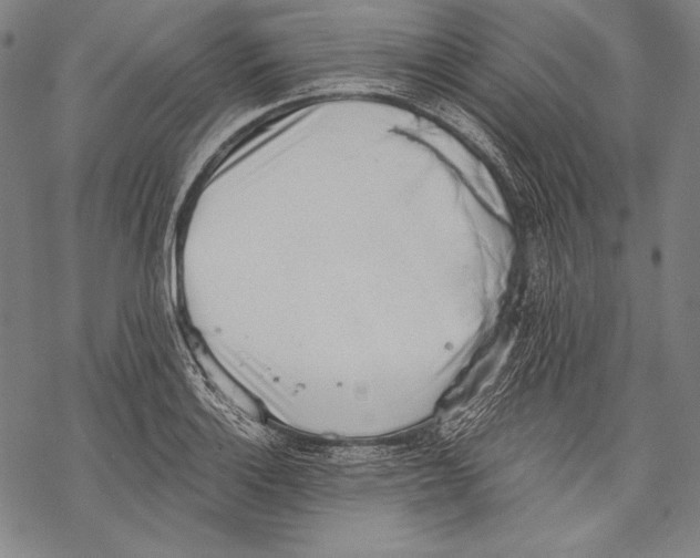 X0000068751132200605191552