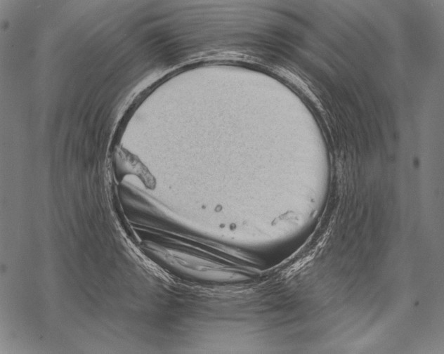 X0000068751133200605191552