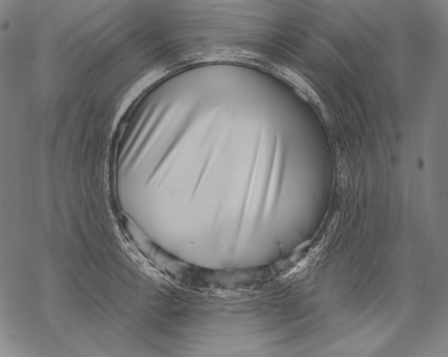 X0000068751138200605191552