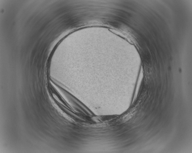 X0000068751142200605191552