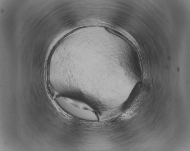 X0000068751144200605191552