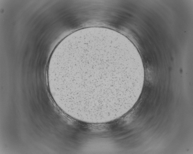 X0000068751150200605191552