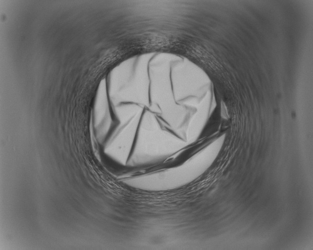 X0000068751153200605191551