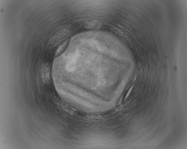 X0000068751154200605191551