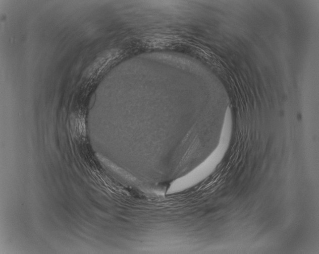 X0000068751155200605191551