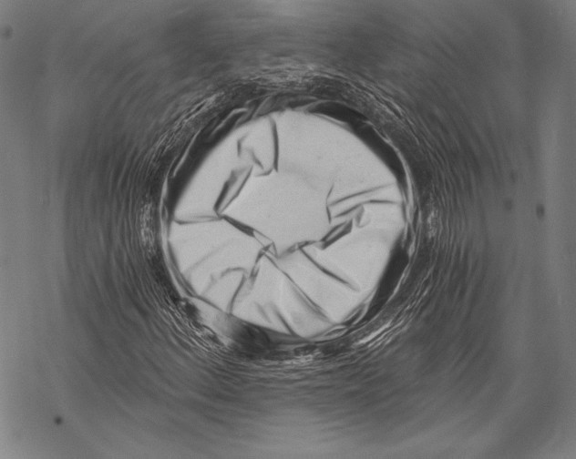 X0000068751156200605191551