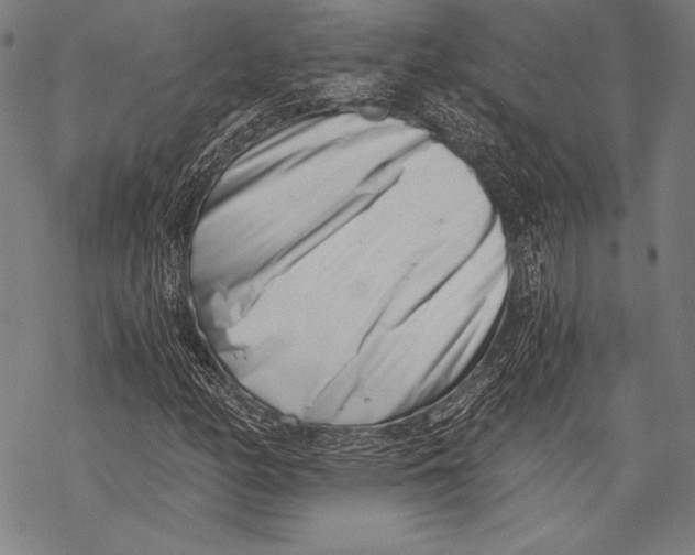 X0000068751158200605191551