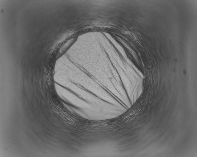 X0000068751159200605191551