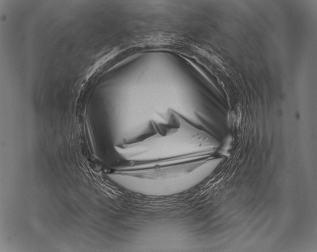 X0000068751160200605191551
