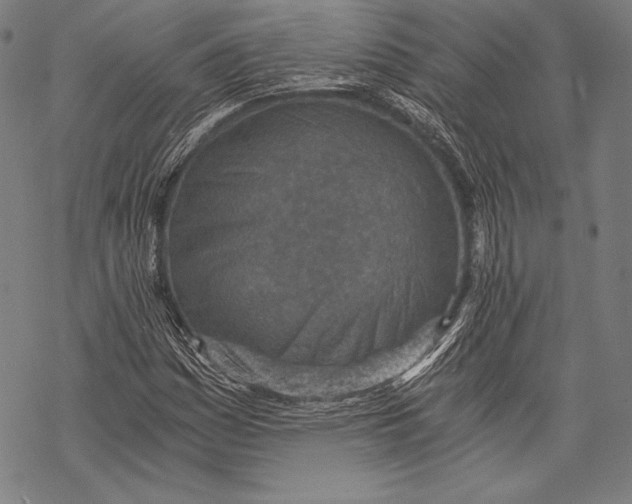 X0000068751161200605191551