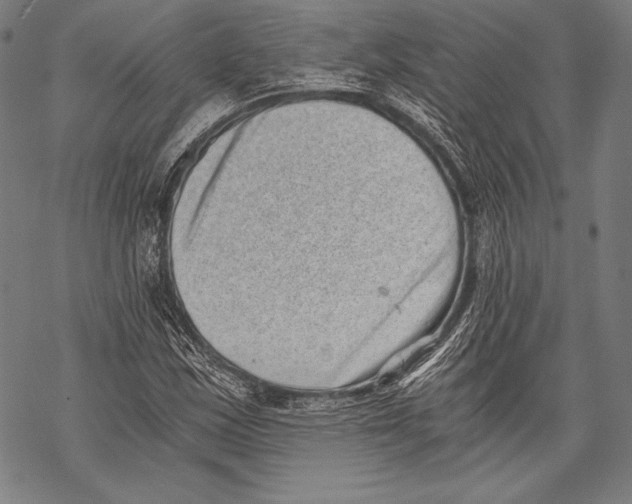 X0000068751163200605191551