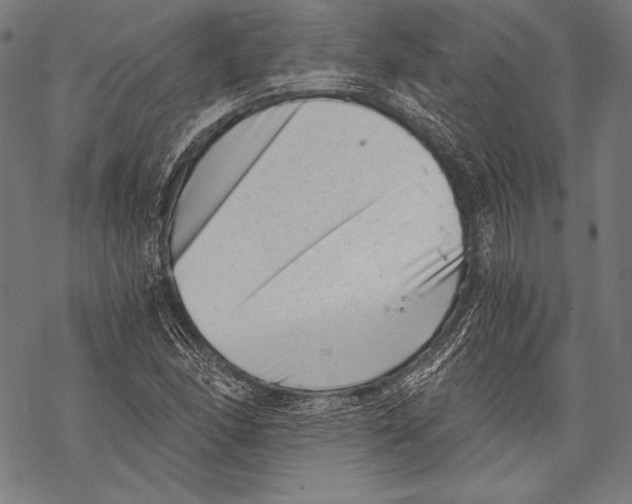 X0000068751166200605191551