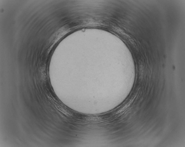X0000068751170200605191551