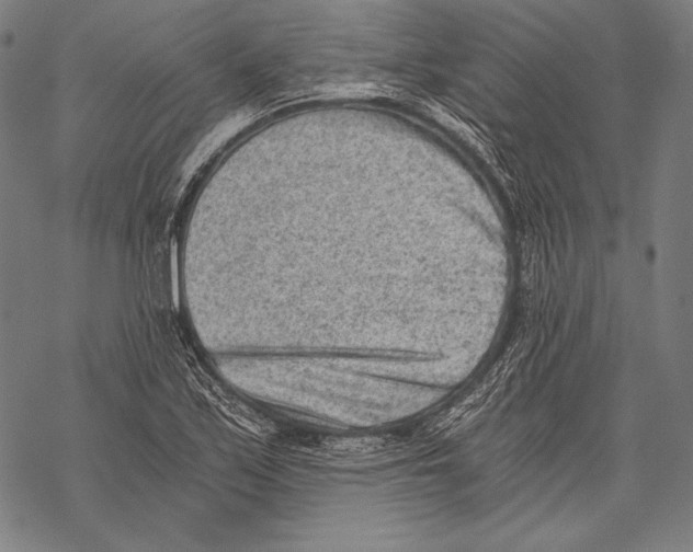 X0000068751171200605191551