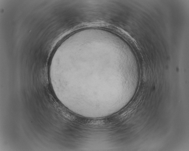 X0000068751174200605191551