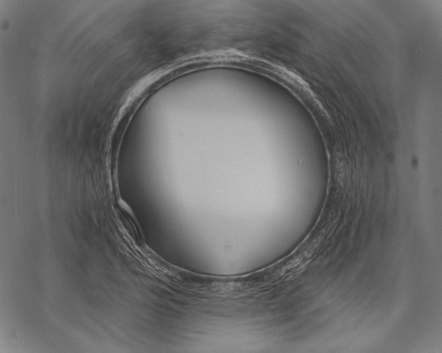 X0000068751176200605191551