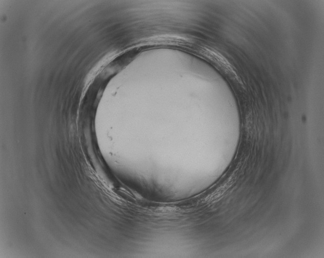 X0000068751180200605191551