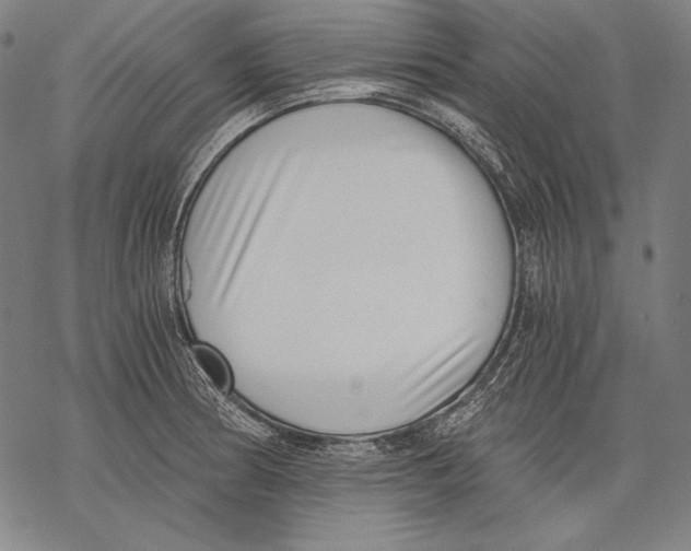 X0000068751186200605191551