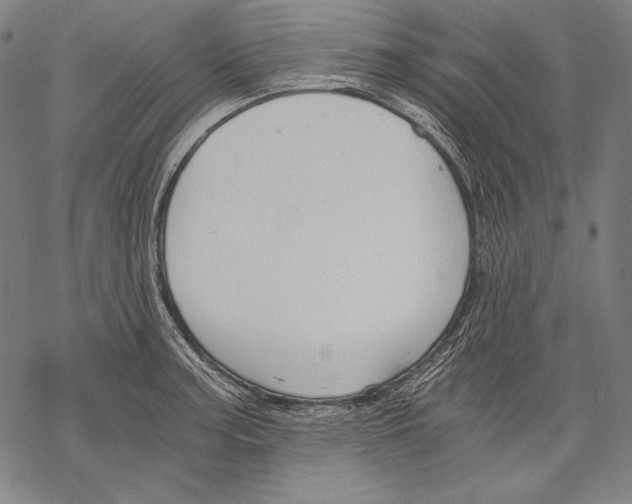 X0000068751187200605191551