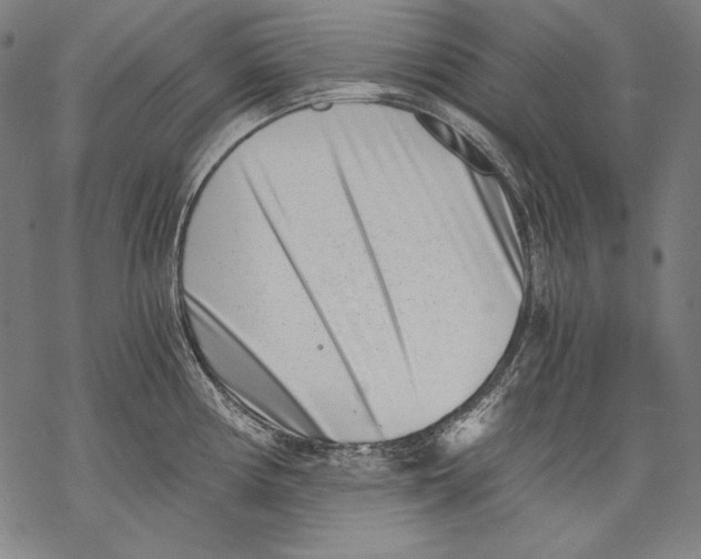 X0000068751194200605191551