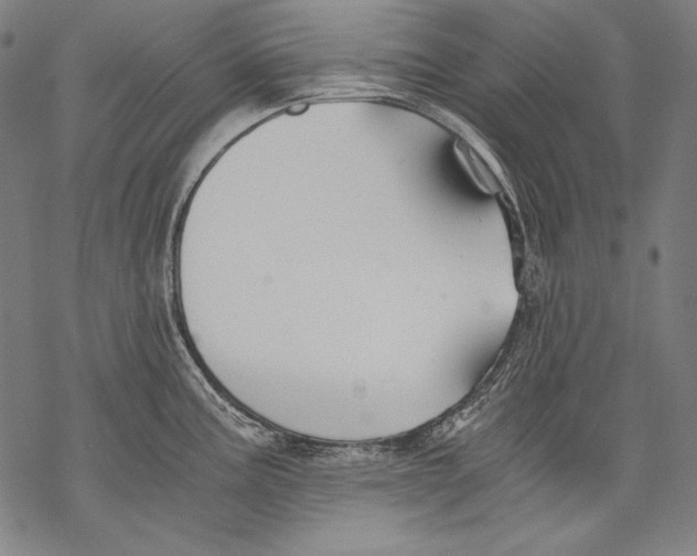 X0000068751195200605191551