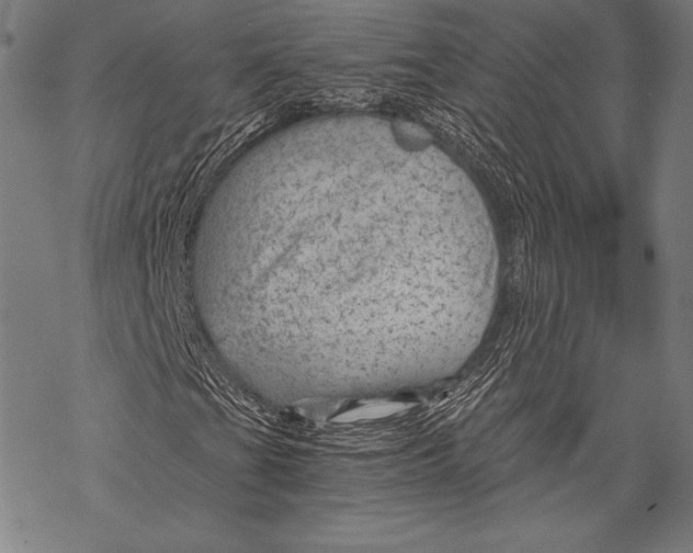 X0000068751201200605191550