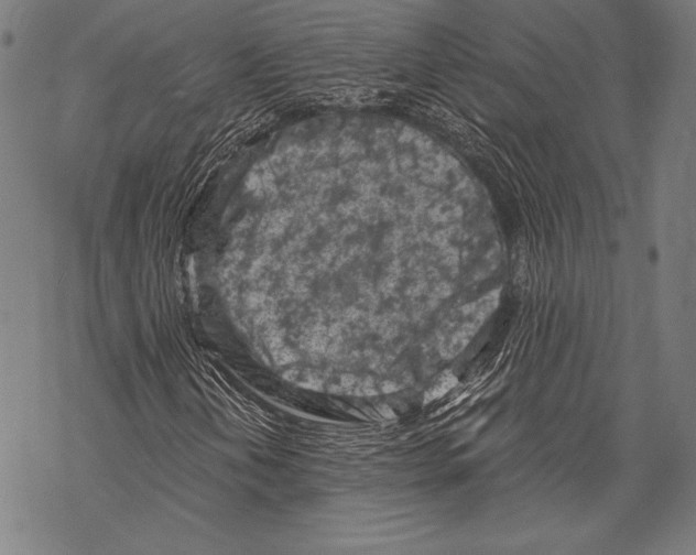 X0000068751202200605191550