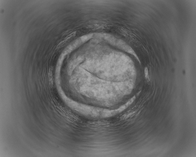 X0000068751203200605191550