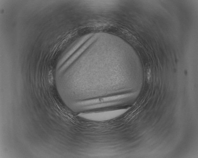 X0000068751204200605191550
