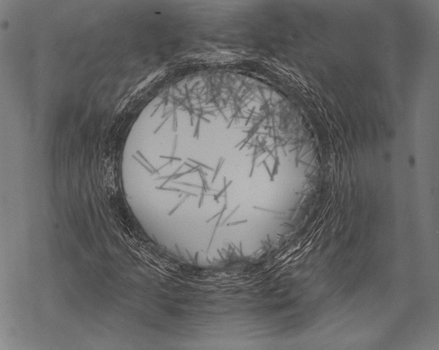 X0000068751205200605191550