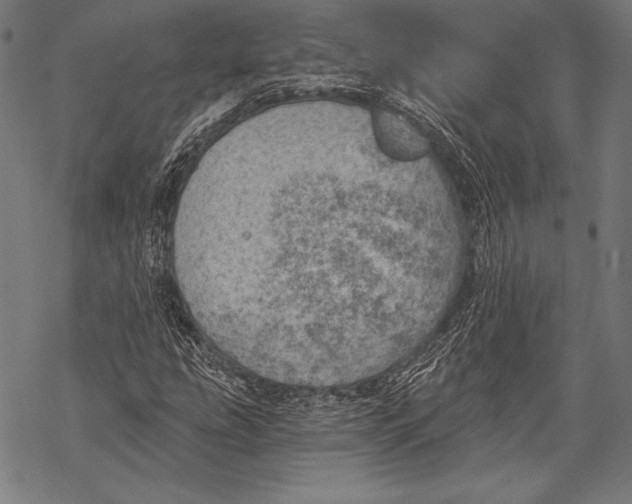 X0000068751207200605191550