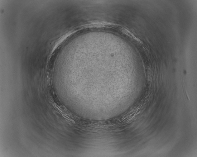 X0000068751208200605191550