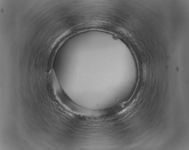 X0000068751210200605191550